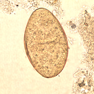 <p>What is this?</p>