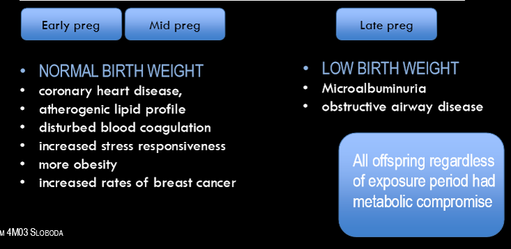 <p>Found distinct diff in outcomes qhether or not exposed late or early preg; All the adults exposed early in preg had normal birth weight with a bunch of other problems, which doesn’t fit right w model showed earlier; Regardless of when exposed to famine and regardless of birthweight, all had issues w metabolism</p>