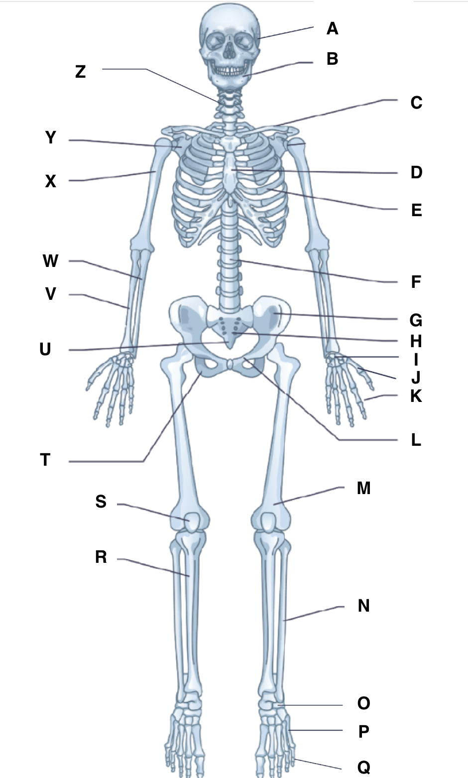 <p>Label</p>