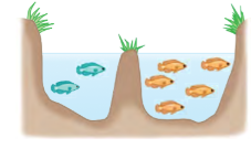 <p>Geographic isolation due to physical barriers.</p>