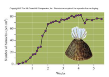 <p>for the barnacles on the coast of scotland (see figure on the right), what is (approximately) their carrying capacity? their intrinsic rate of growth assuming density is 1 at week 0?</p>