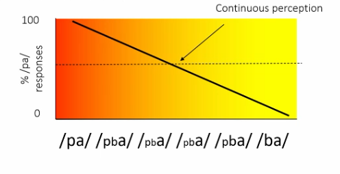 <p>Categorical perception of speech sounds can be demonstrated using a:</p>