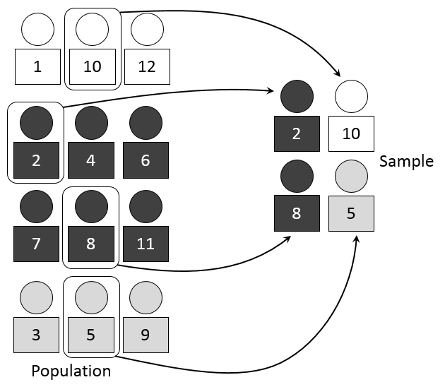 <p>The whole population is divided into homogeneous strata or subgroups according to a specific factor. Then, the researchers draw a random sample from the different strata </p><p>-Examples:</p><ul><li><p>Sampling employees based on job roles-managers, technicians, and sales staff</p></li><li><p>Studying income distribution by dividing participants into income brackets</p></li></ul><p></p>