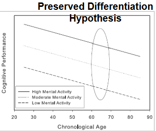 <p>mental activity is at least partly a manifestation of one’s prior level of mental ability → suggests that people have varying starting rates of change, and regardless of how good one is intuitively at cognitive tasks, everyone experiences cognitive decline</p>