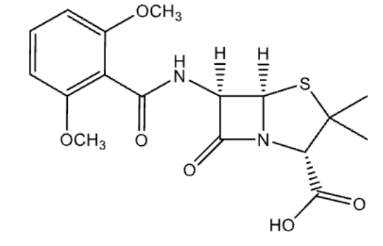 <p>name</p>