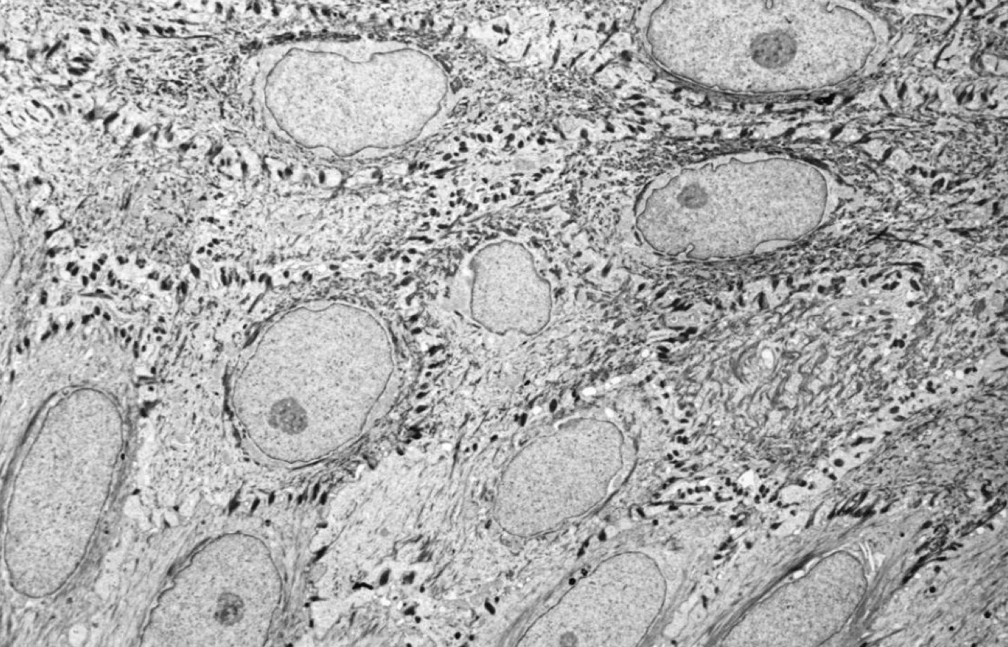 <p>Identify the Structure</p>