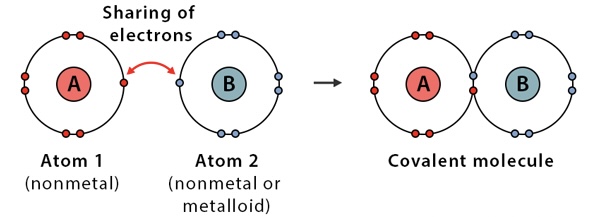 <p>shared electrons</p><p>[ non-metal + non-metal ]</p>