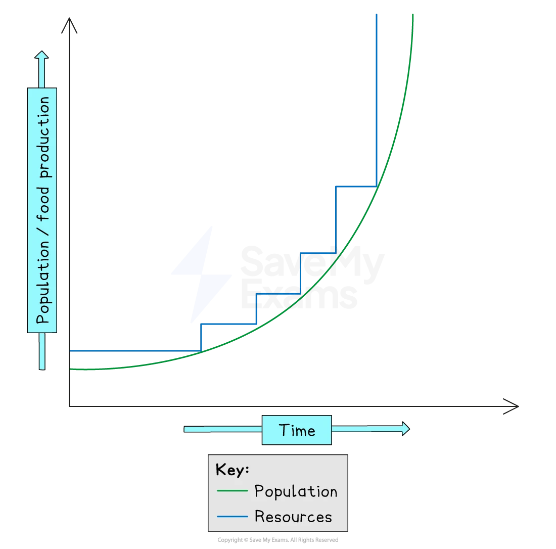 <ul><li><p>believed population growth stimulates agricultural production</p></li><li><p>believed food supply will increase with population growth- humanity would invent new farming methods to keep up with rising demand</p></li><li><p>necessity drives technological advancement</p></li></ul><p></p>