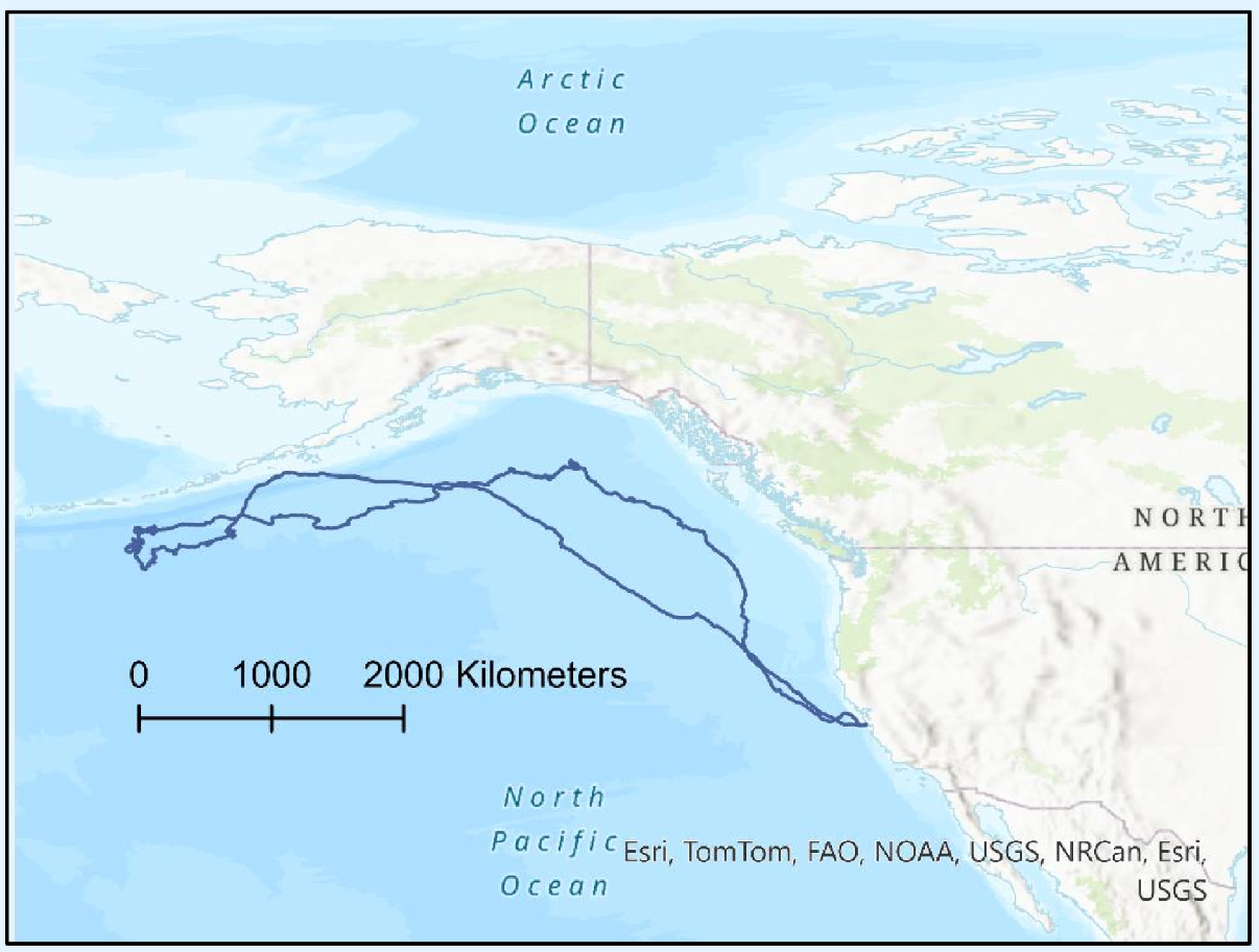 <ul><li><p>Plotting in 2D using WGS -> lot of disortion </p></li><li><p>Distance is in degrees -> not meaningful GEO113 – GIS HS2025 Summary gigi 15 </p></li><li><p>-1° is 111km at equator, 0km at pole</p></li></ul><p></p>