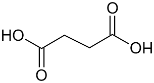 <p>What is this a backbone of? </p>