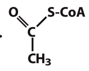 <p>What is this structure?</p>