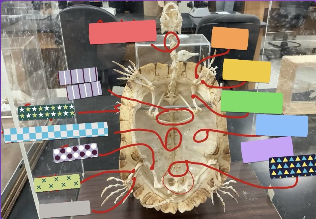 <p>What does the grey box represent?</p>