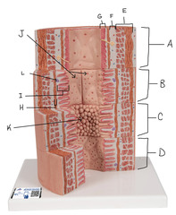 <p>i</p>