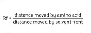 <p>Rf = distance moved by the solute / distance moved by the solvent.</p>
