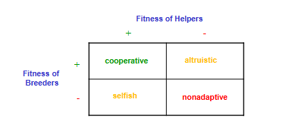 <p>More helpers means more reproductive success in White- throated Bee-eaters and Red-cockaded Woodpeckers. More helpers also means longer lifespan for breeders, probably because of reduced workload. Helpers are usually direct kin of the breeders, so they benefit via kin selection</p>