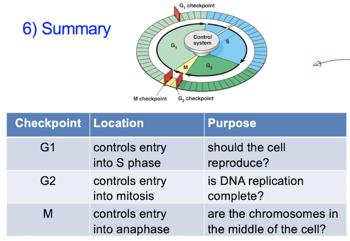 <p>Summary</p>