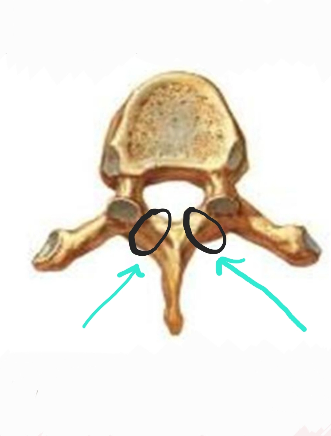 <p>Qual é o nome?</p>