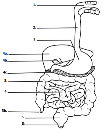 <p>What is structure 5b?</p>