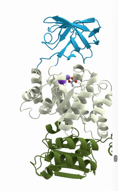 <p>What are proteins domain and what are the ways they differ from each other?</p>