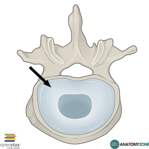 <p>what is this?</p>