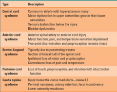<p>common in elderly , hyperextension injury (edema in central spinal cord)</p><p>motor dysfunction in UE > LE (legs fine!)</p><p>sensory dysfunction below injury</p><p>bladder dysfunction</p>