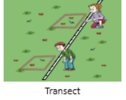 <p>A straight line along an abiotic gradient from which population data is recorded to determine a pattern, <strong>may be used to assess species distribution in correlation with any abiotic factor that varies across a measurable distance </strong></p>
