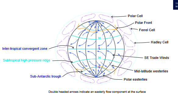 <p>Circulation is form this way due to the uneven distribution of radiation from the sun (equator gets more radiation) and the Coriolis effect (Earth’s rotation affecting objects movement)</p>