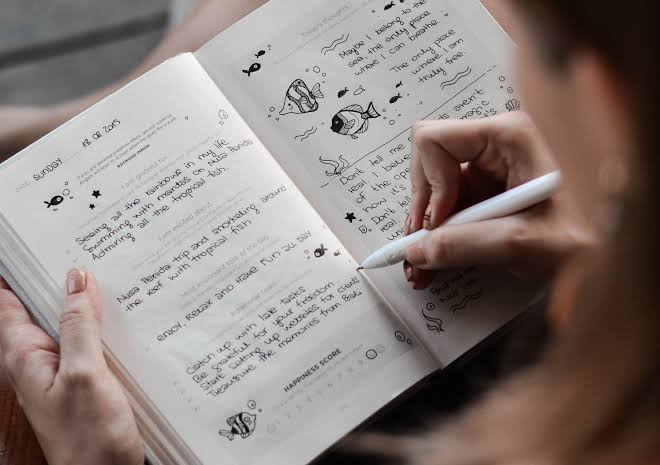 <p>Journal (n)</p>
