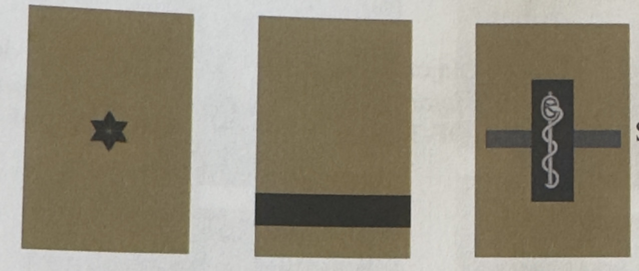 <p>Officiers subalternes 1/11</p>