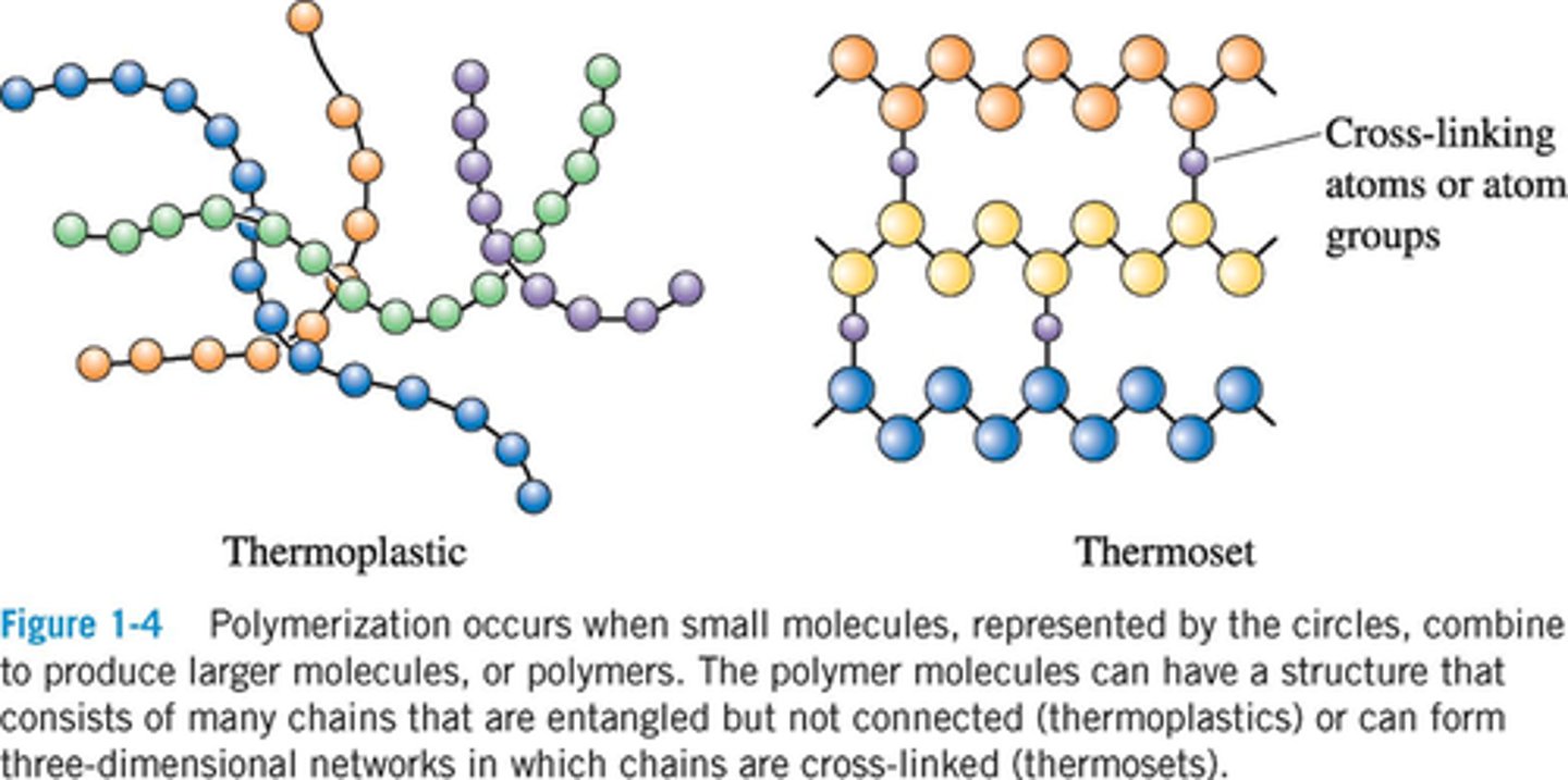 <p>Thermoplastics have linear or branched chains and can melt; thermosets have crosslinked structures that do not melt but degrade on heating.</p>