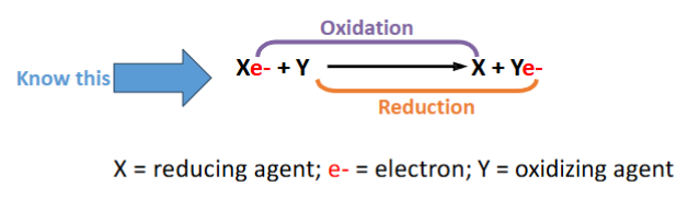 <ul><li><p>Oxidized – when electrons are taken away from a molecule it is oxidized</p></li><li><p>Reduced – when a molecule accepts electrons it is reduced</p></li></ul><p></p>