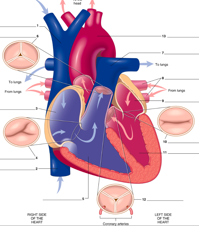 <p>1</p>