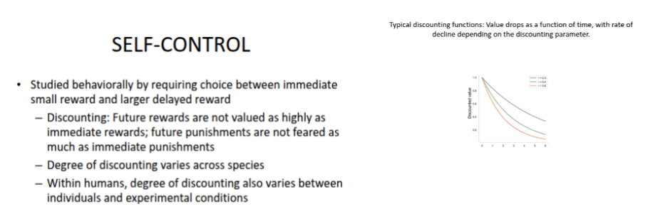 <p><strong>Self-Control</strong></p>