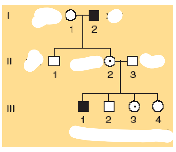 <p>Koks čia paveldėjimas?</p>