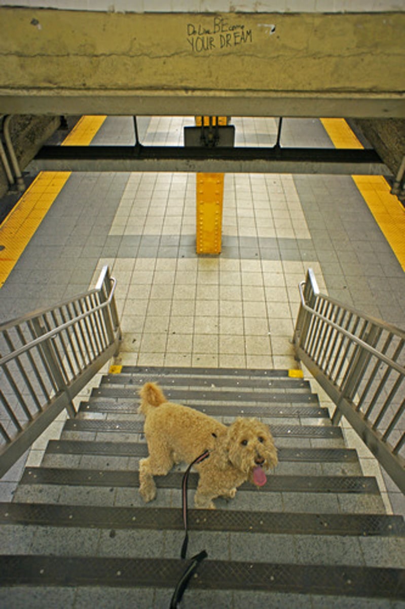 <p>to leave</p>