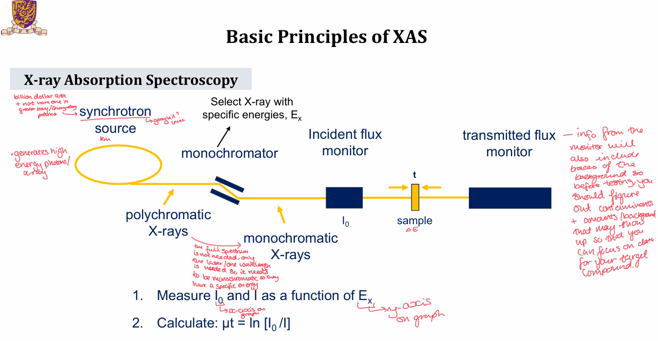 <ul><li><p>synchotron source generates high energy photons/x-ray </p></li><li><p>polychromatic x-rays travel through a monochromator where x-rays of specifc energies are selected</p></li><li><p>monochromatic x-rays travel to incident flux monitor and then hit the sample</p></li><li><p>Transmitted flux monitor then sits after the sample </p></li><li><p>I<sub>0</sub> and I are measured as a function of E<sub>x</sub> - E<sub>x</sub> will be the graph y-axis and I<sub>0</sub> will be the x-axis </p></li></ul><p></p>