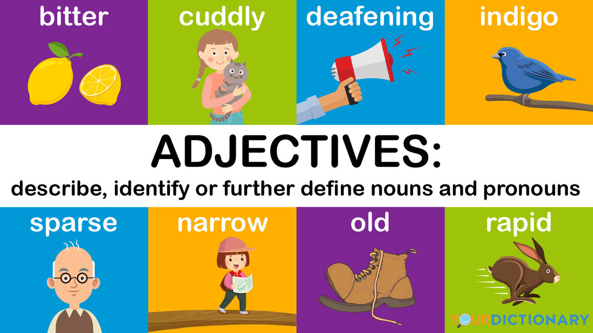 <p>Adjectives</p>