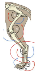 <p>just take a minute to study these angles and click "done"</p>