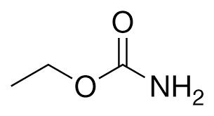 <p></p>