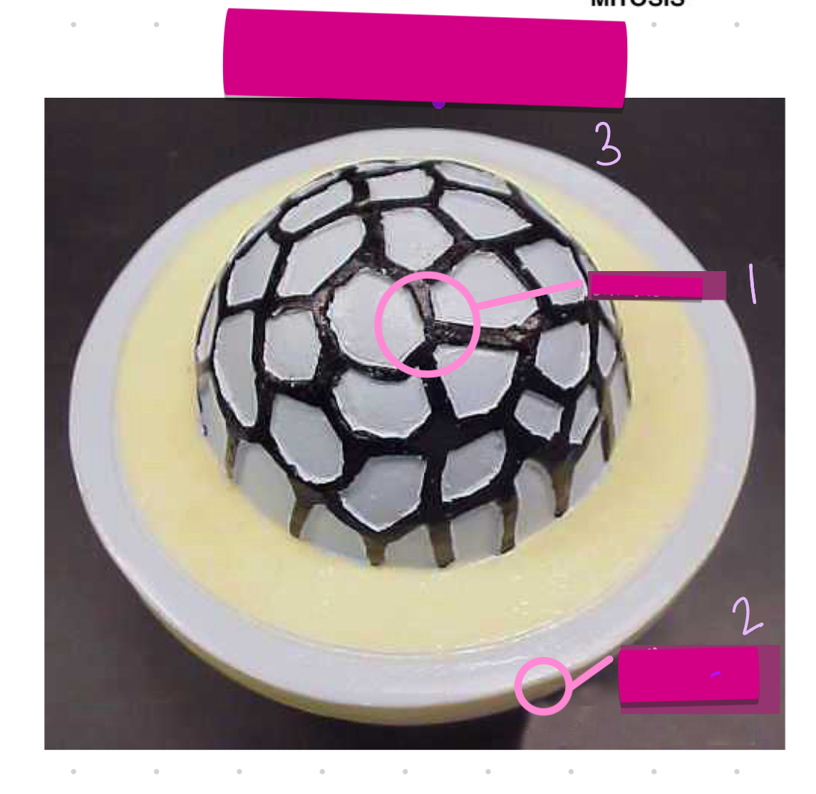 <p>1</p>