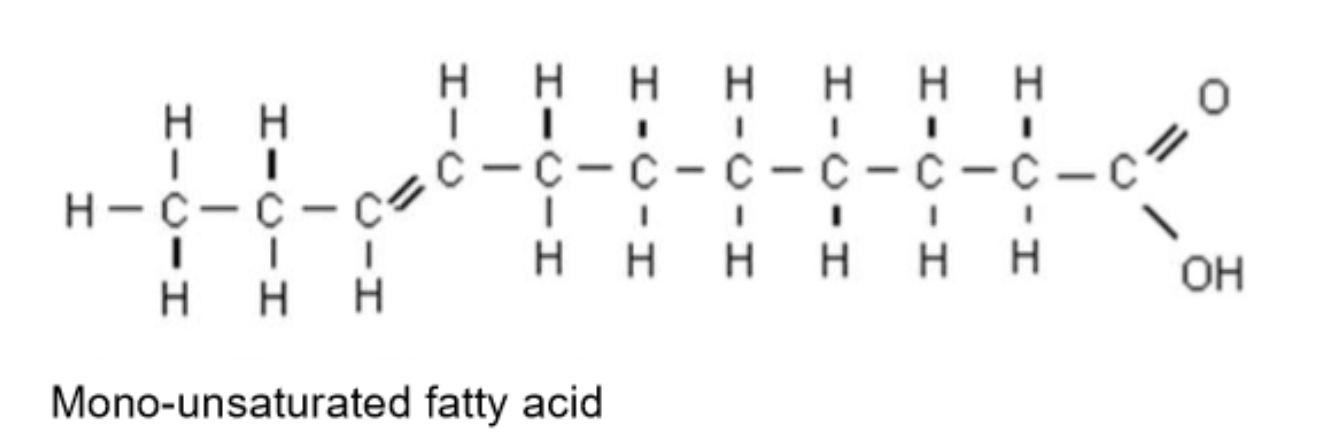 <ul><li><p>one C=C double bond</p></li><li><p>slightly bent chain</p></li></ul><p></p>