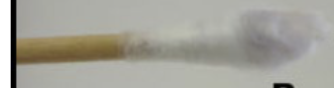 <p>test name and result</p>