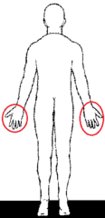 <p>Hand</p>