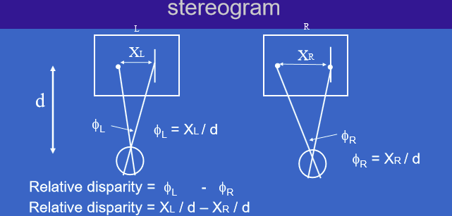 <ul><li><p><span>XL</span> = image separation in the left-eye image</p></li><li><p>XR = image separation in the right-eye image</p></li><li><p>d = viewing distance</p></li></ul><p></p>