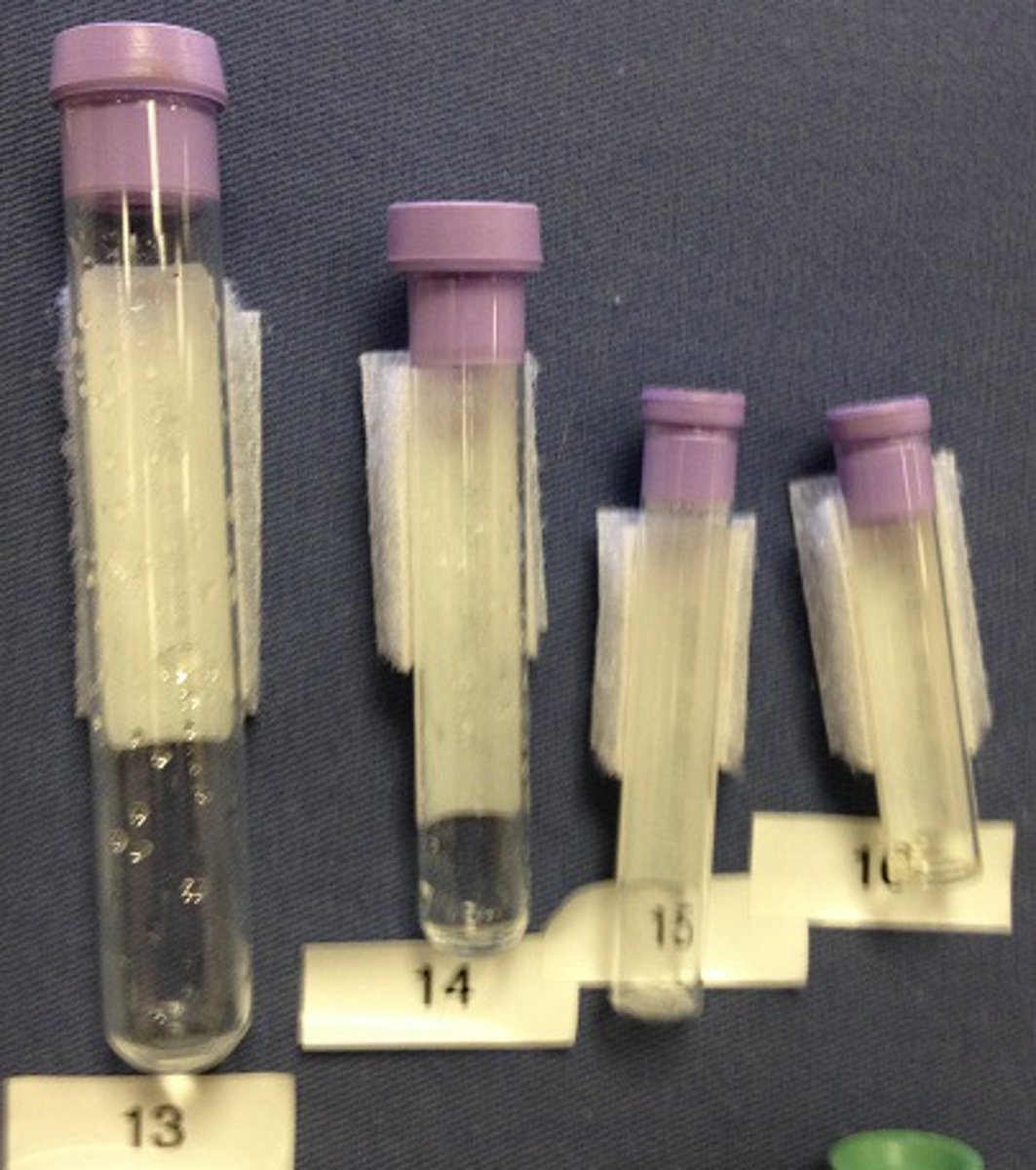 <p>total amount of hemoglobin in a sample of peripheral blood</p>