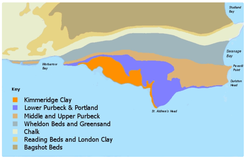 <p>Jurassic coast in Dorset</p><p>- Wheldon beds and greensand geology is less resistant that Kimmeridge clay and Lower Purbeck and Portland geology</p><p>- this creates bays such as Warbarrow bay and Swanage Bay, and headlands such as St Aldehm’s head</p>