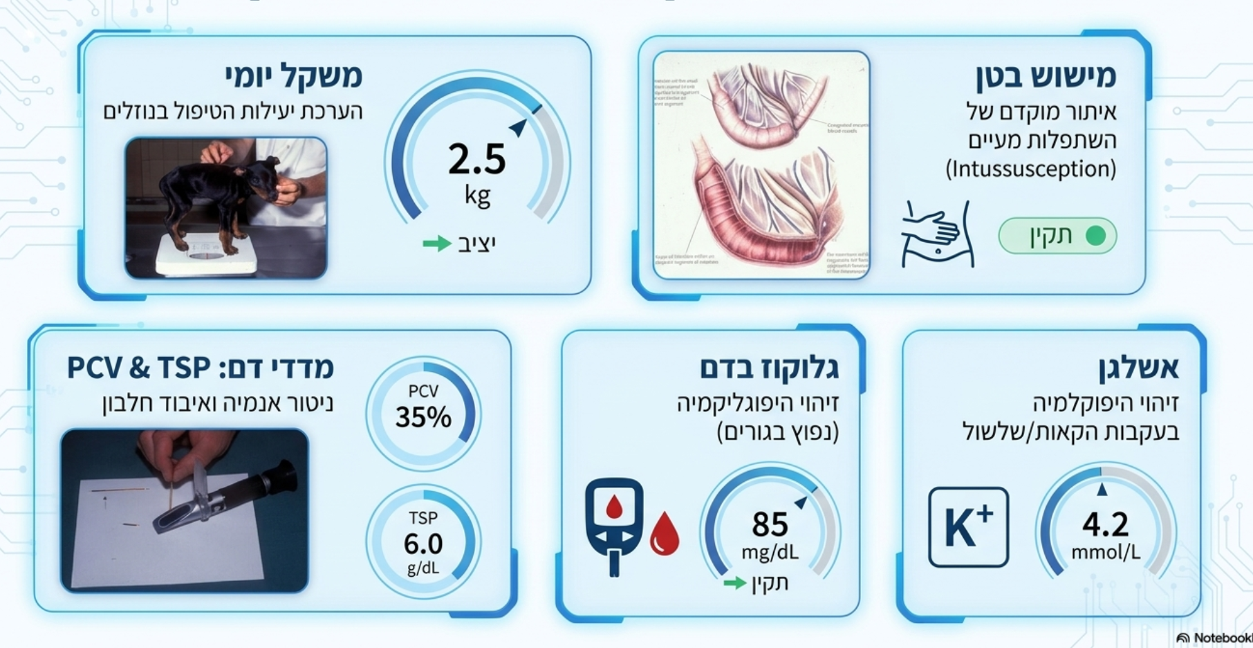 <ol><li><p><strong>משקל גוף</strong>.</p></li><li><p><strong>מישוש בטן</strong> יומיומי (במטרה לשלול התפתחות של סיבוך מסוג התפשלות מעיים - </p></li><li><p><strong>מדדי פי.סי.וי ו-טי.אס.פי. כלומר מדדי ריכוז חלבון כללי ונפח תאי דם (פלזמה)</strong>.</p></li><li><p><strong>גלוקוז בדם</strong> (לשלילת היפוגליקמיה).</p></li><li><p><strong>אשלגן בסרום</strong> (לשלילת היפוקלמיה)</p></li></ol><p></p>