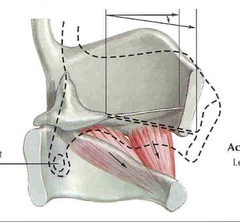 <p>what does this show</p>