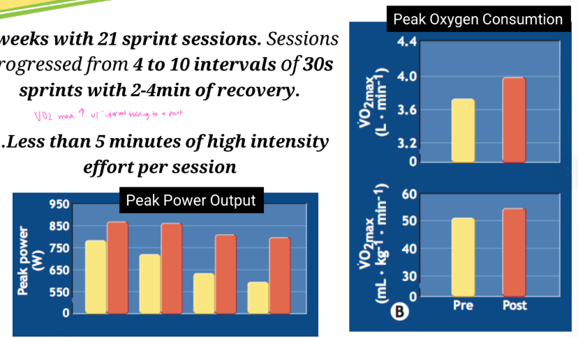 <ul><li><p>VO2 max increases with interval training to a point</p></li></ul><p></p>