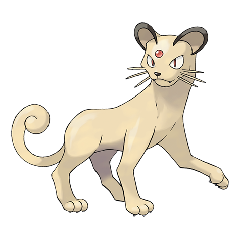 <p>What type is Persian?</p>